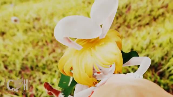 Carrot (GOTM) - CumminHam