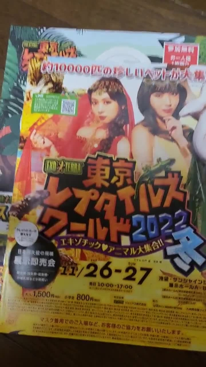優月まりな AV女勇者 LV28にレベルアップ！ yuzuki_marina 5