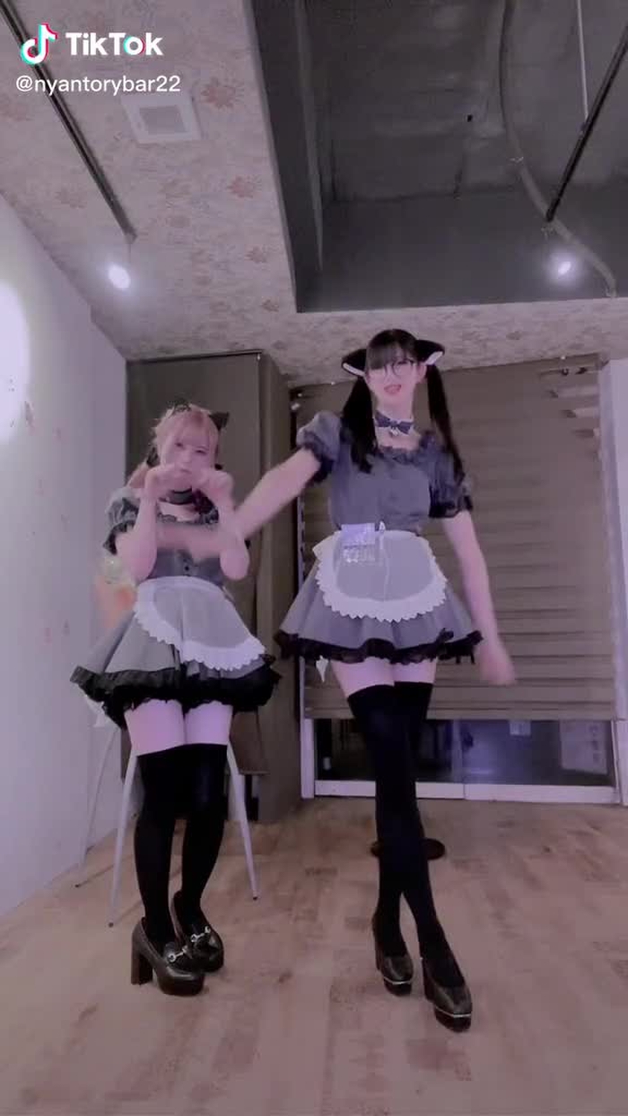 にゃんトリーBAR 37