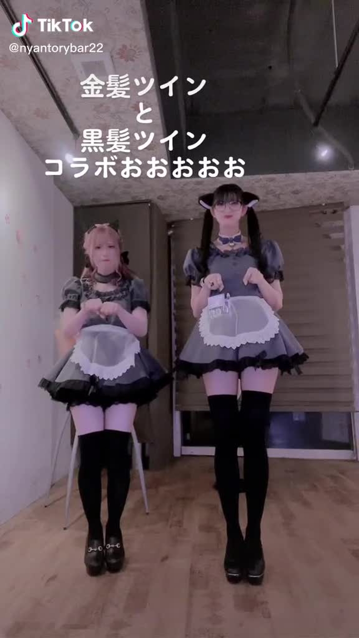 にゃんトリーBAR 44