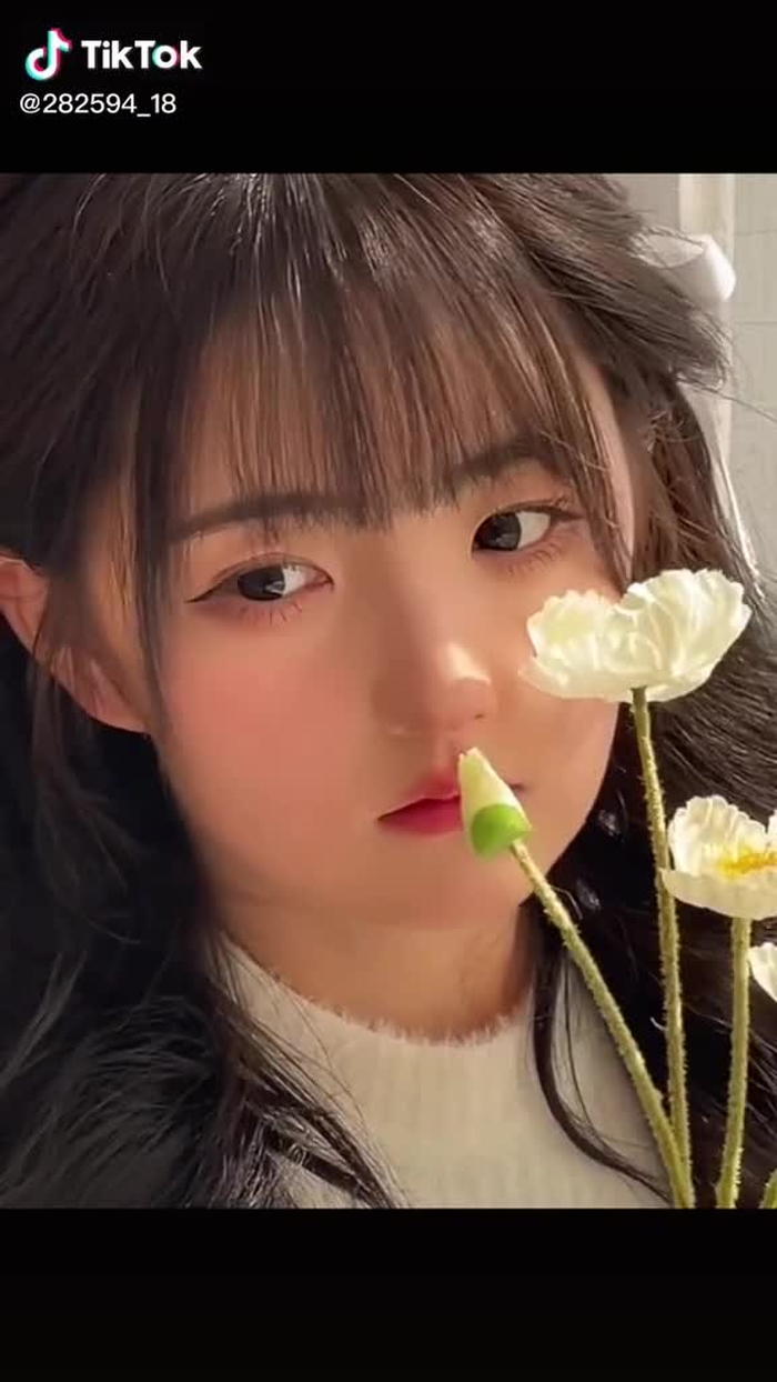 兔兔🐰