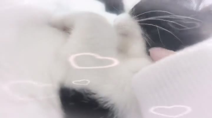 あぅてゃ 02xxu_ 6