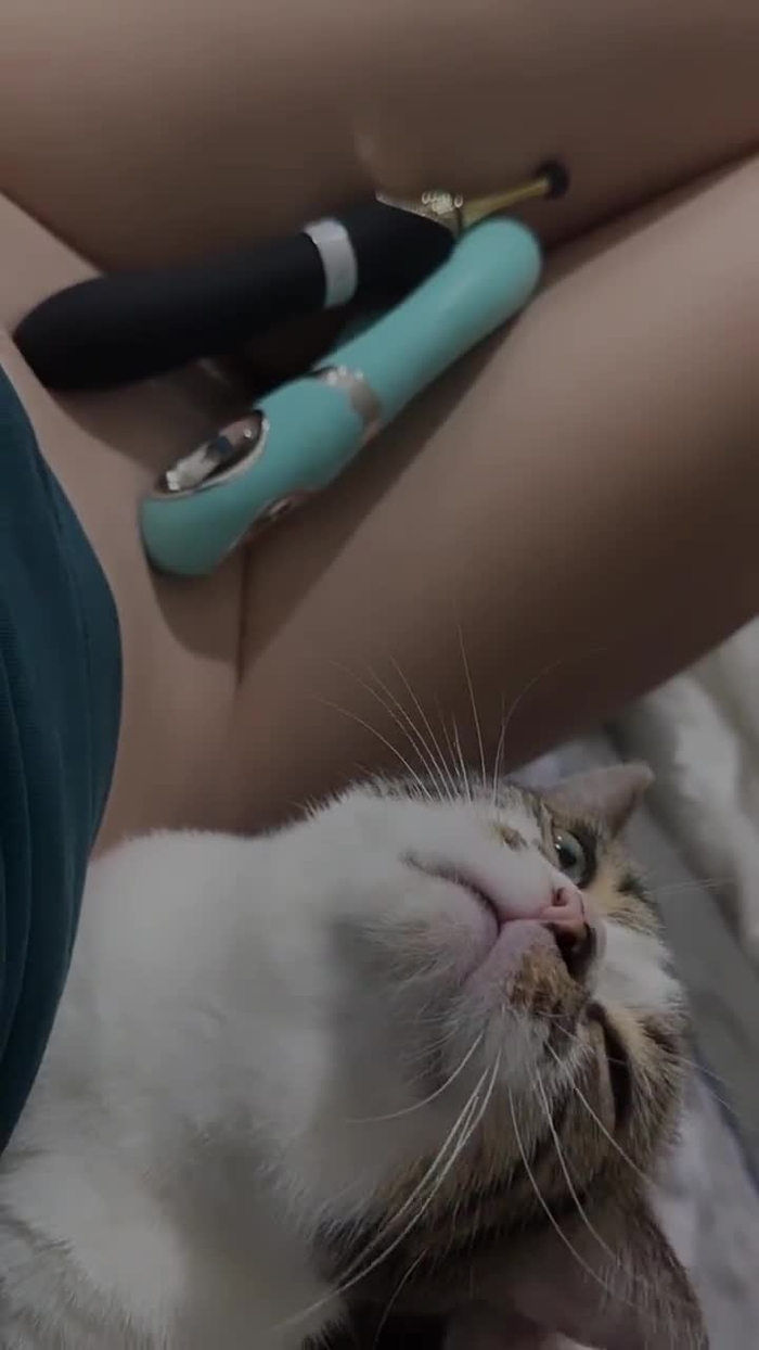 kitty🐱💘 kitty2002102 34