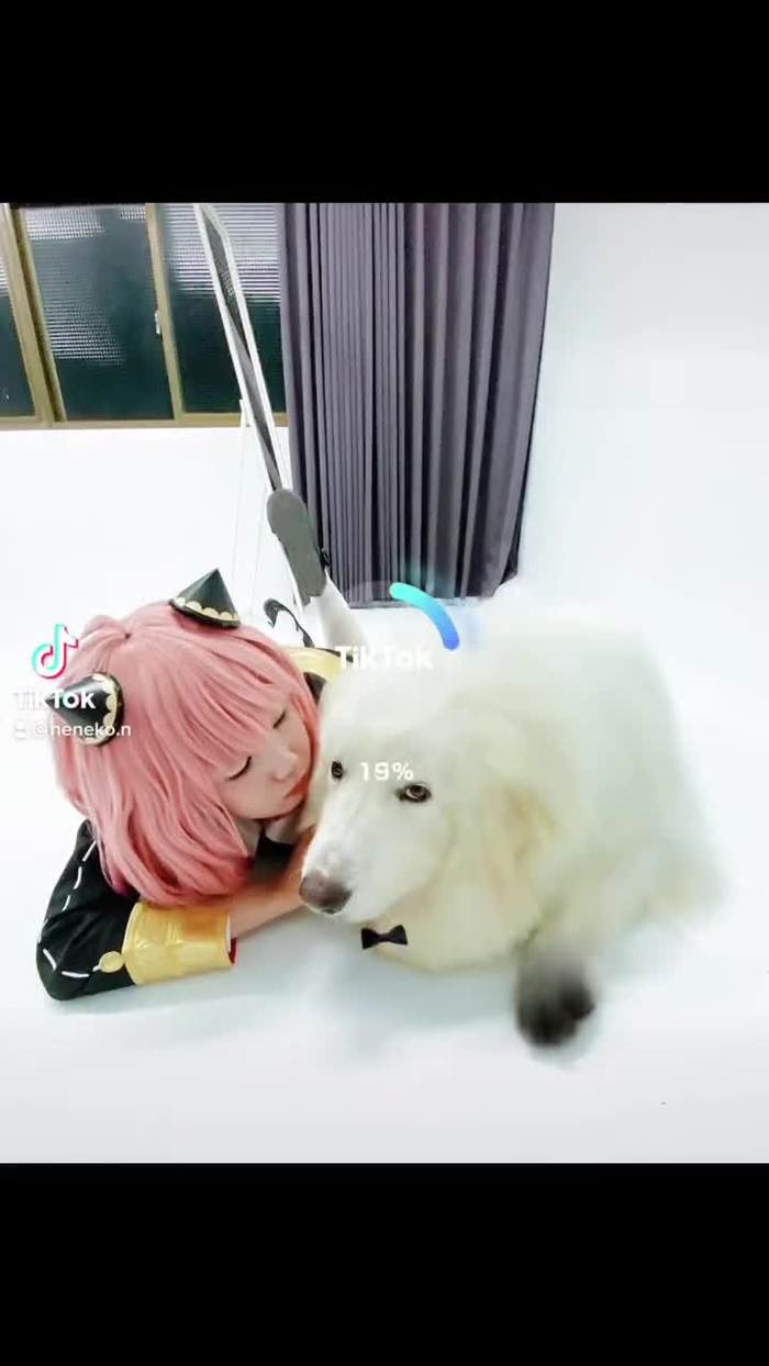 ネネコ ✦ Neneko ✦ Neneko0814 2