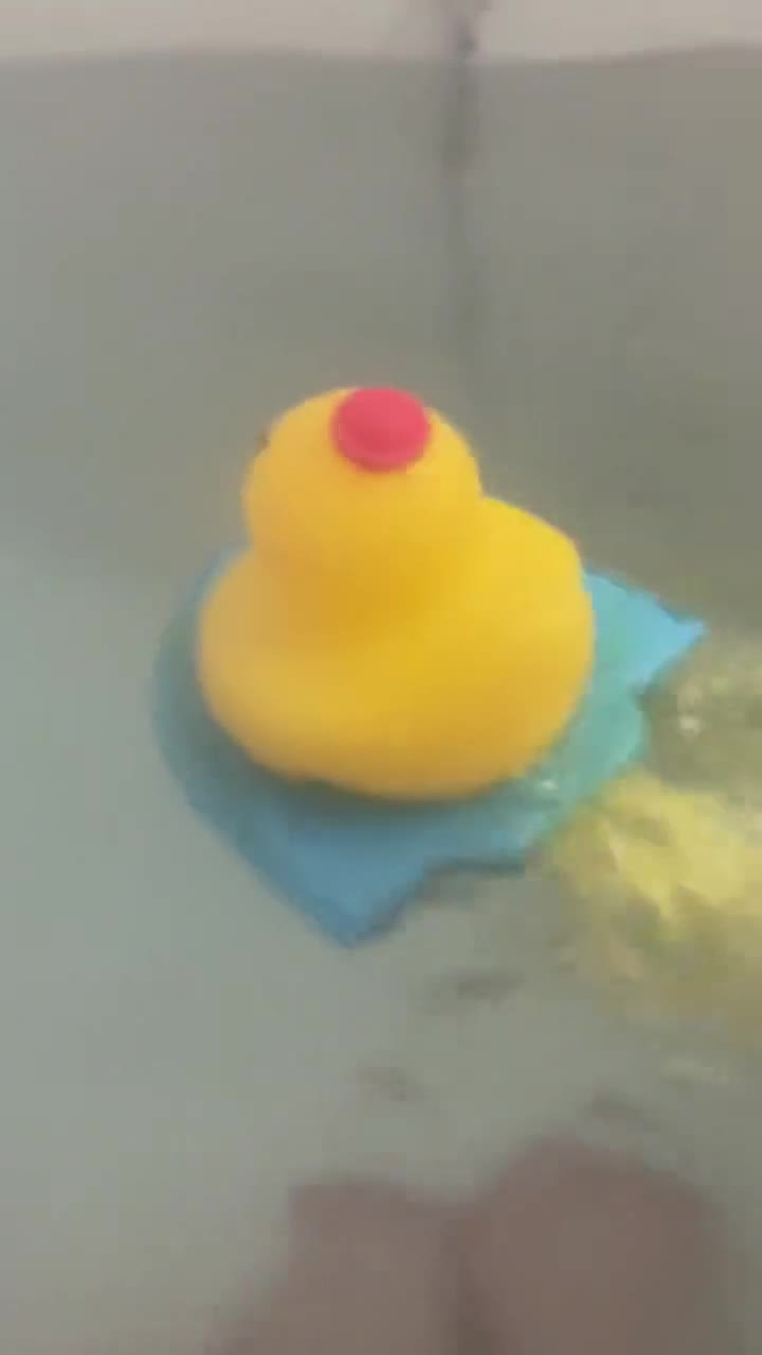 しらこ uwis_7 1