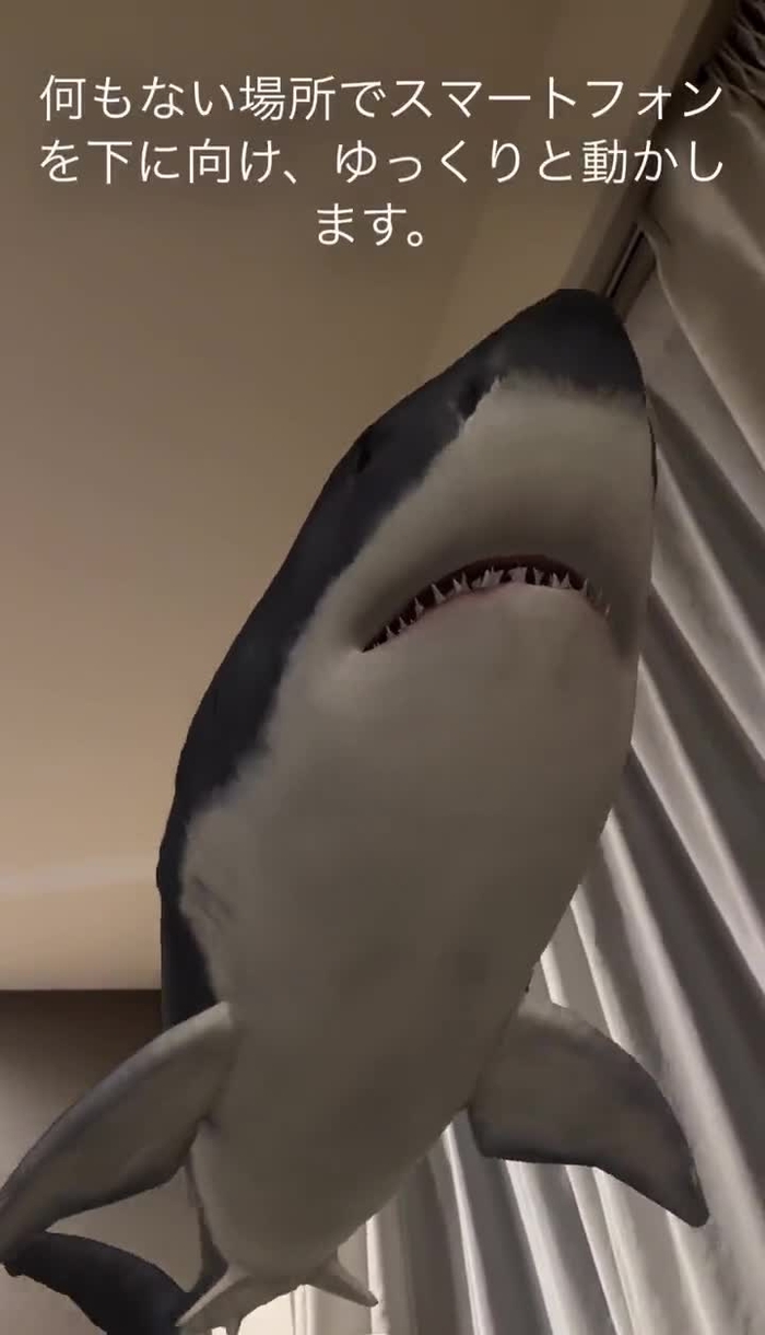 佐崎きさき ___kisaki___