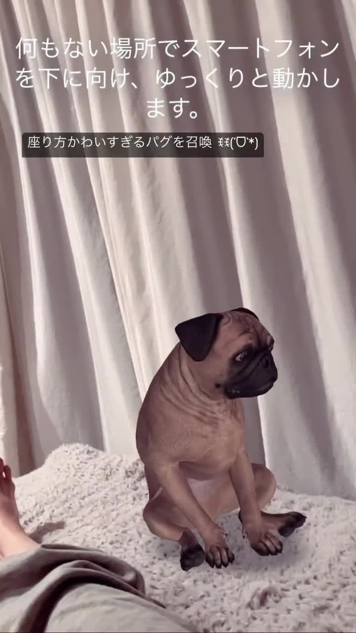 佐崎きさき ___kisaki___ 1