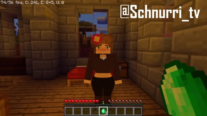 minecraft 262