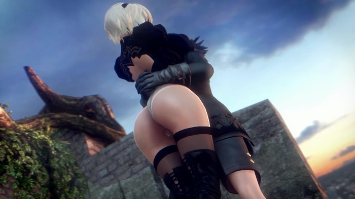 nier 566