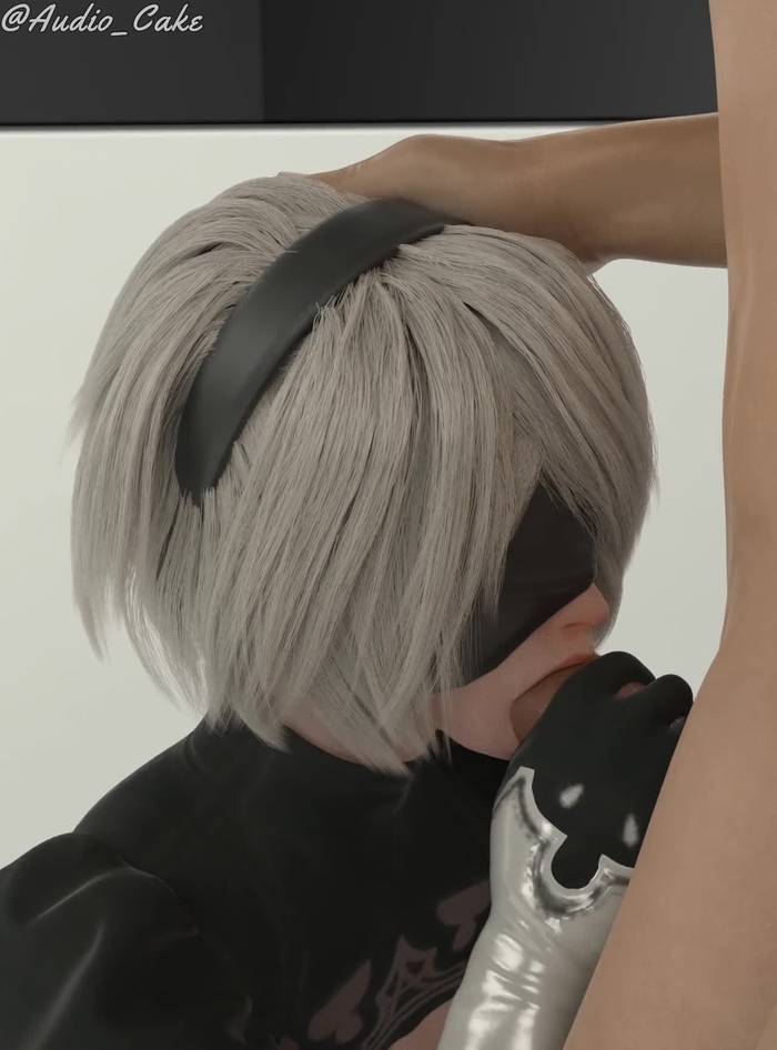 nier 571