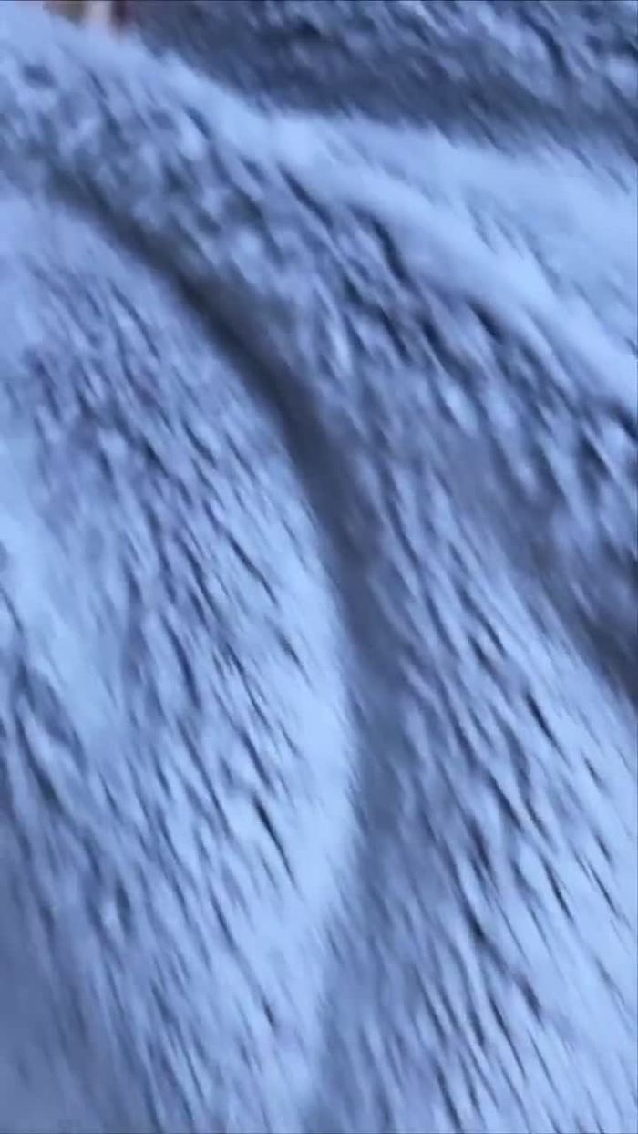 BukkitBurrr❄️🌨️ BukkitBrown