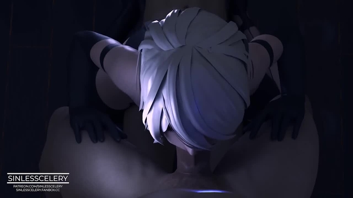 nier 647