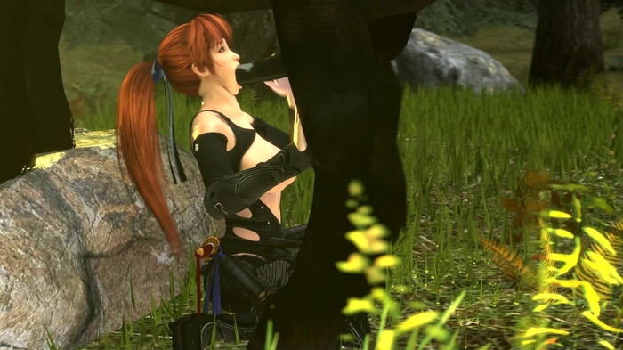 dead or alive 2825