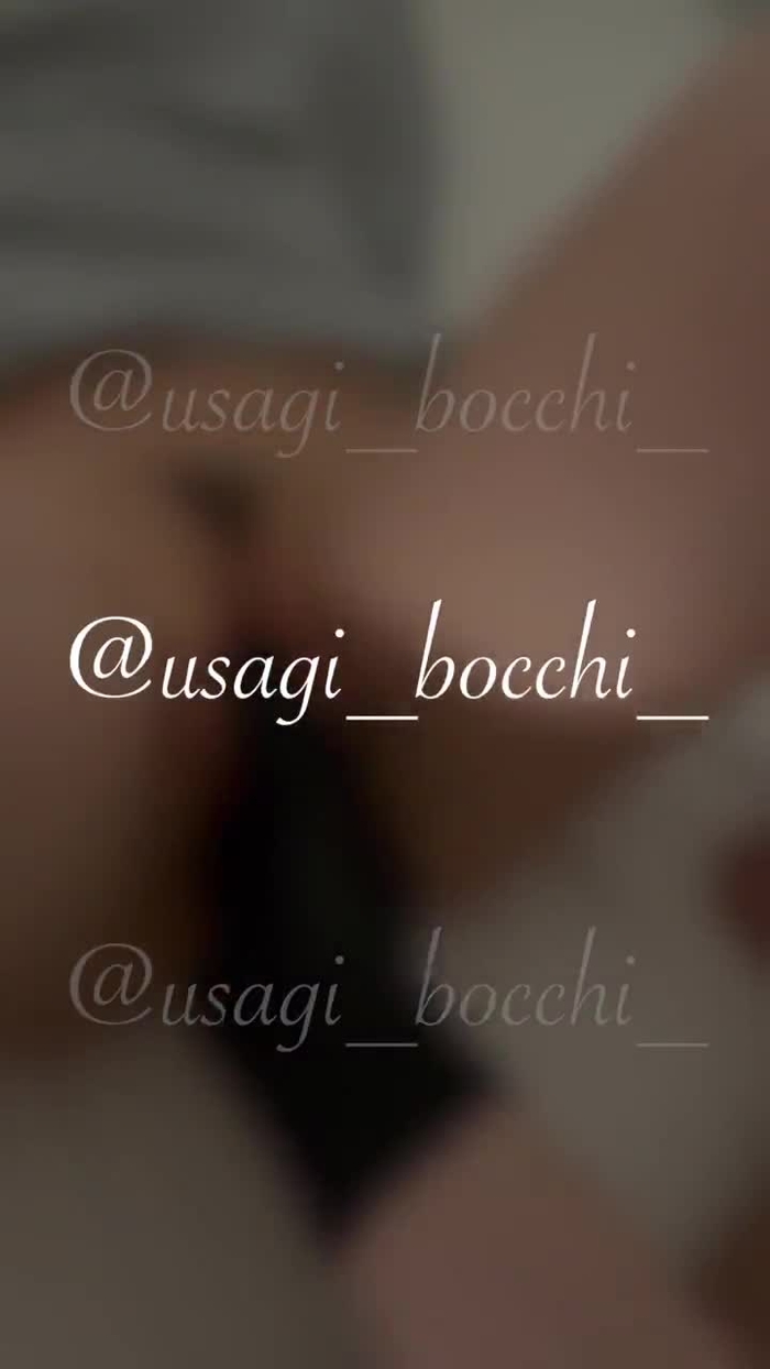 兎 usagi_bocchi_ 26