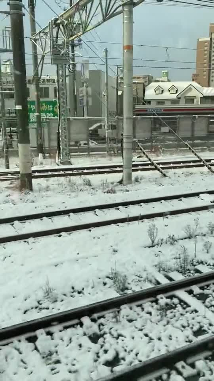 💤ゆうかりん💤必殺エモモモモ7@1/5生誕祭in新宿science空けておいてね🤍 emo_yukarin 3