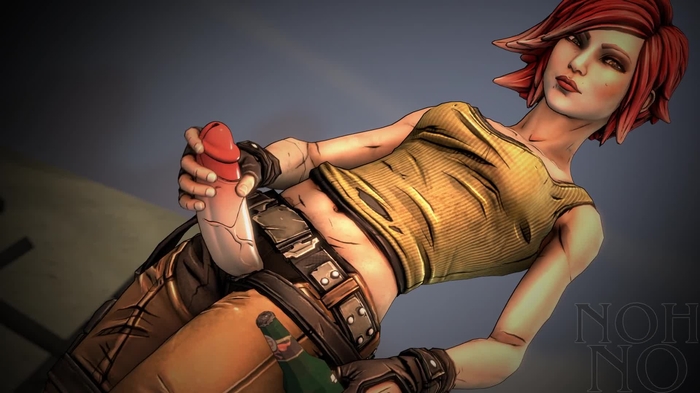 borderlands 191