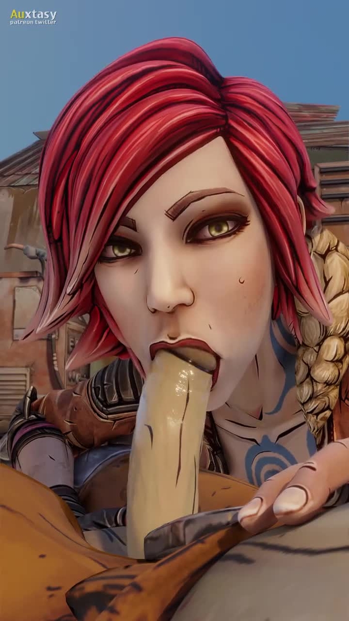 borderlands 201