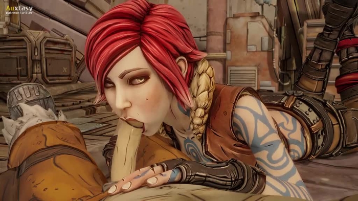borderlands 202