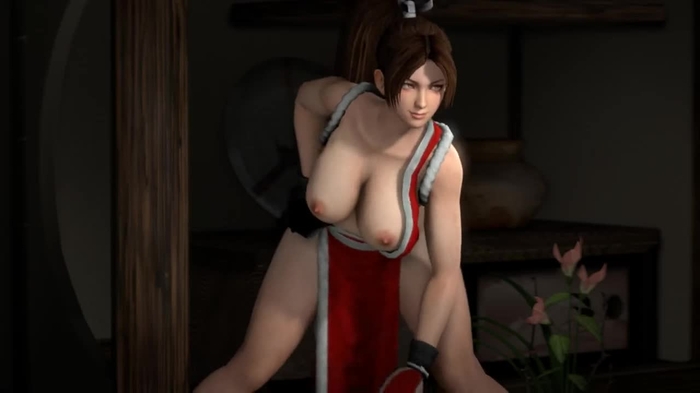 fatal fury 325