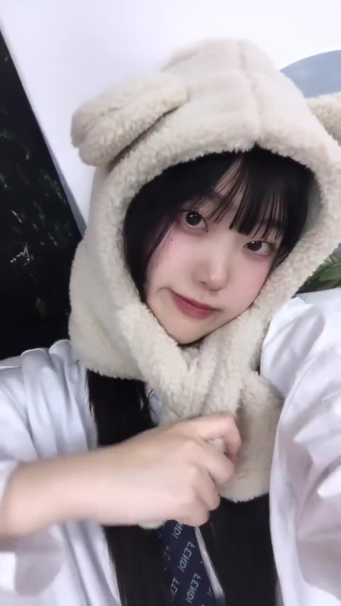 고양이복정 lovebbog