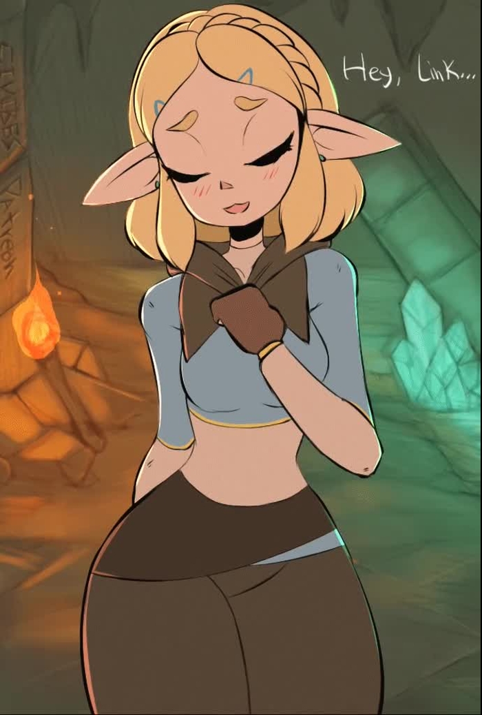 breath of the wild 497