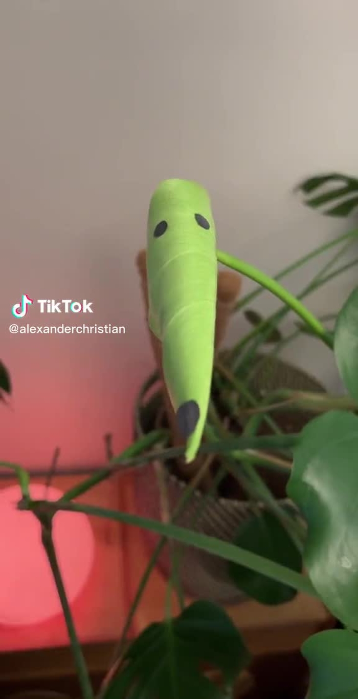 BukkitBee BukkitBrown