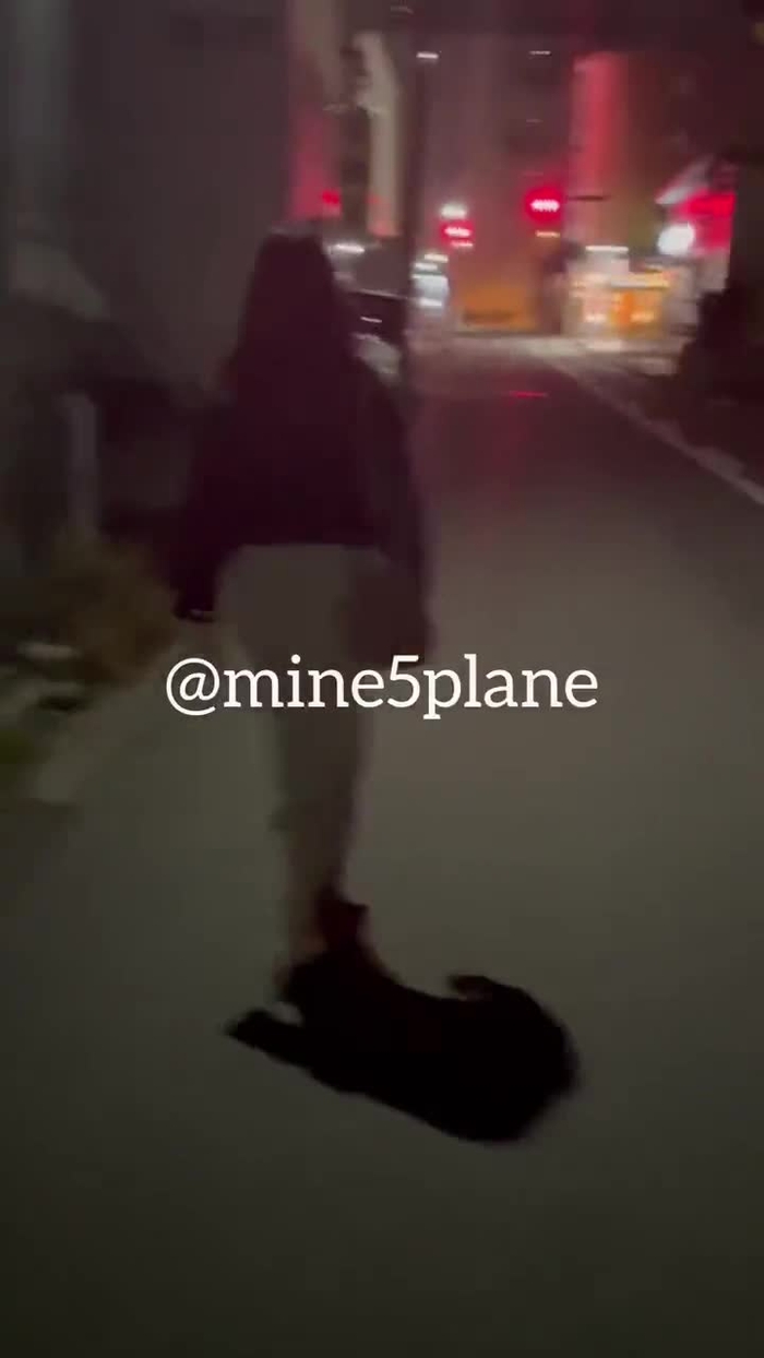 怠惰のみねこ mine5plane 5