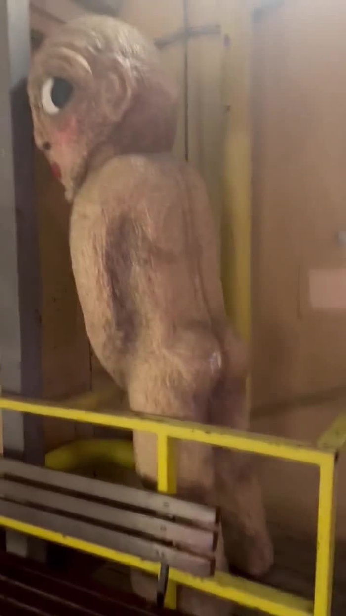 shadory shadorycos 1