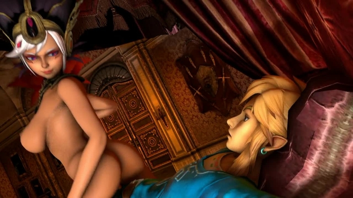 hyrule warriors 139