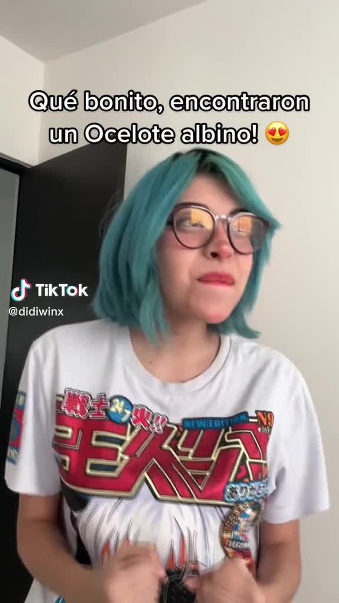 Ig:didiwinx #ocelote #albino #noticia