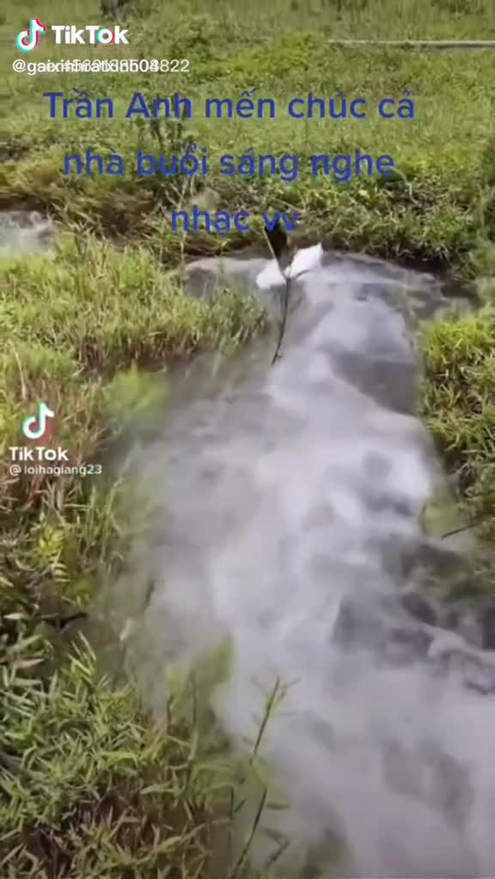 #gaixinh #gaidep #learnontiktok đố xem hết video! (1374)