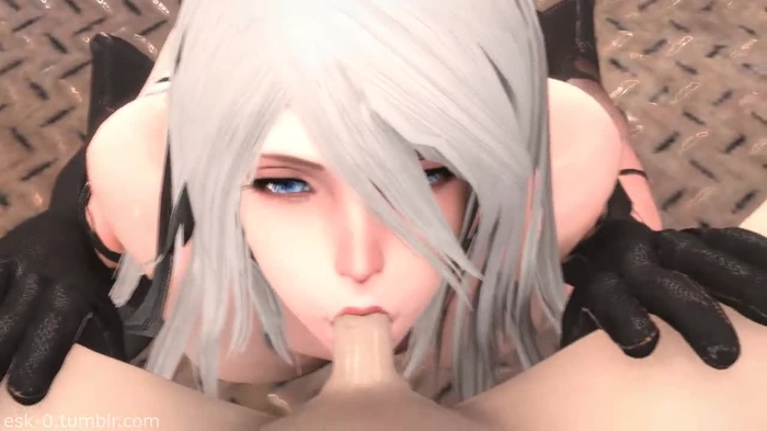 nier 1172