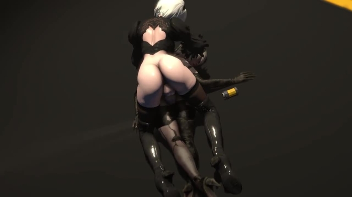 nier 1241