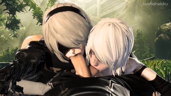 nier 1236