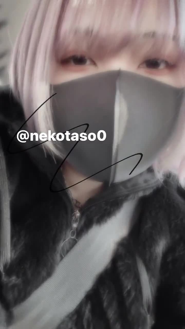 ねこたそ nekotaso0 20