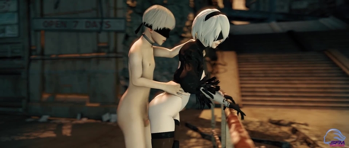 nier 1255
