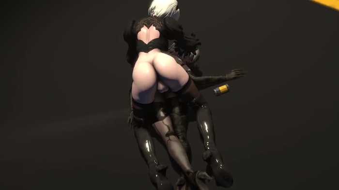 nier 1242