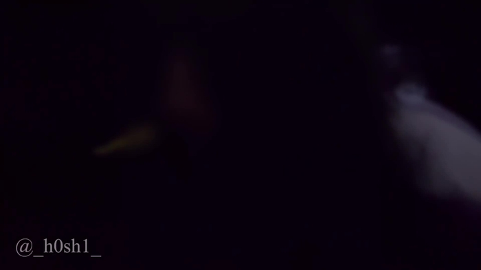 ほしまち🫠 _h0sh1_ 46