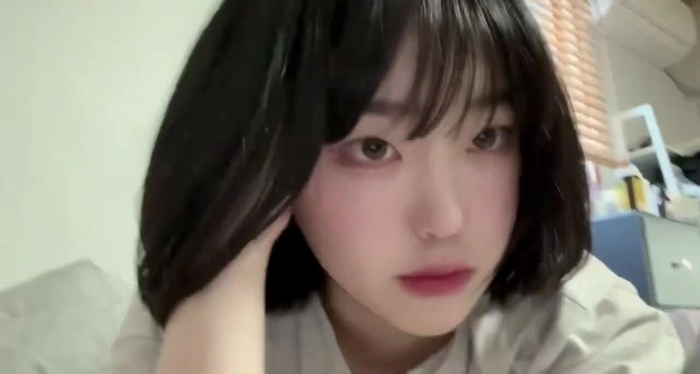 고양이복정 lovebbog 1