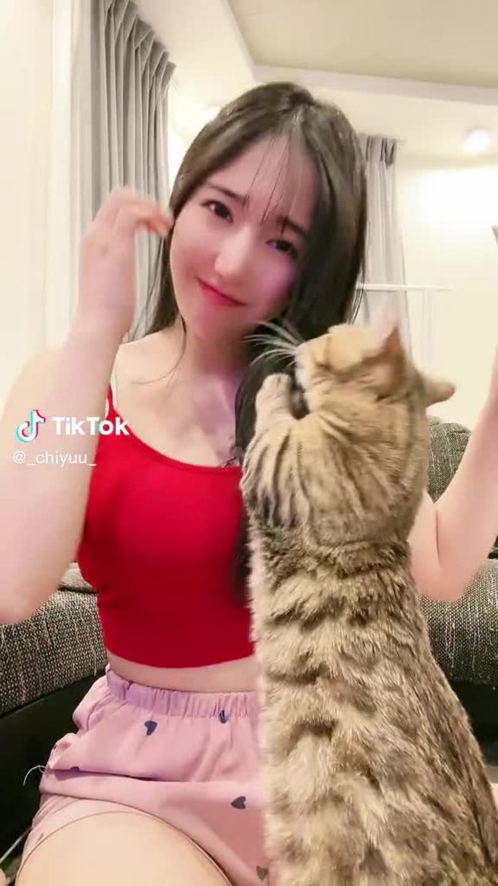 猫に襲われました😮‍💨 attacked by a cat.