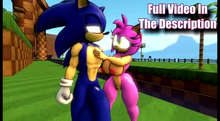 sonic (series) 709