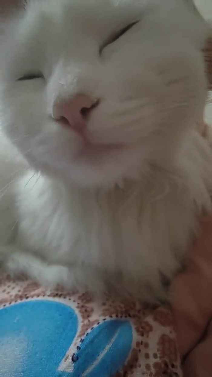 LILI梨子有毒 iBeuumNWgFCCVoi