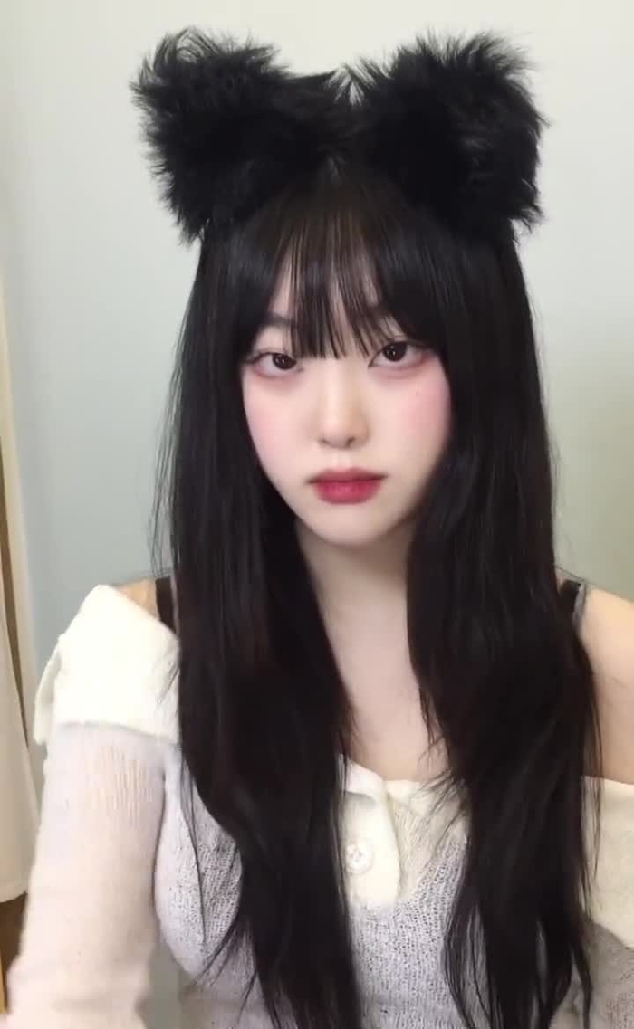 고양이복정 lovebbog 2