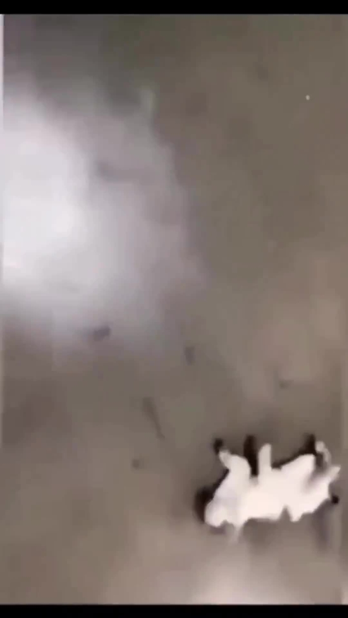 koko shingando 14