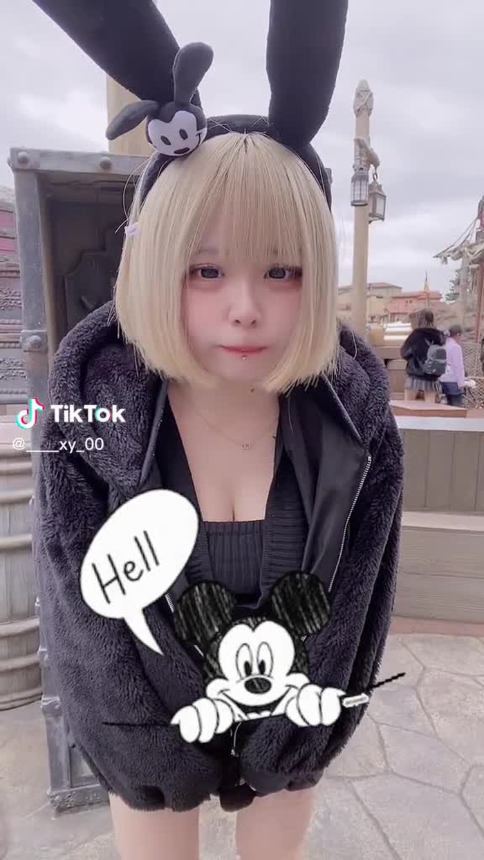 たのしかた(ㅠ︿ㅠ)