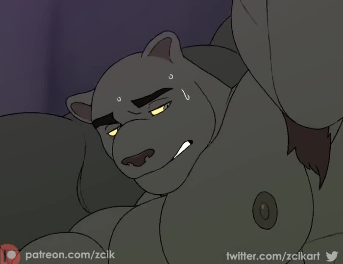 zcik 2