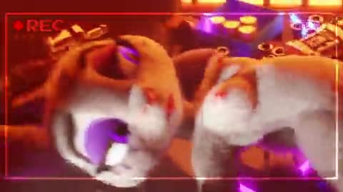 zootopia 70