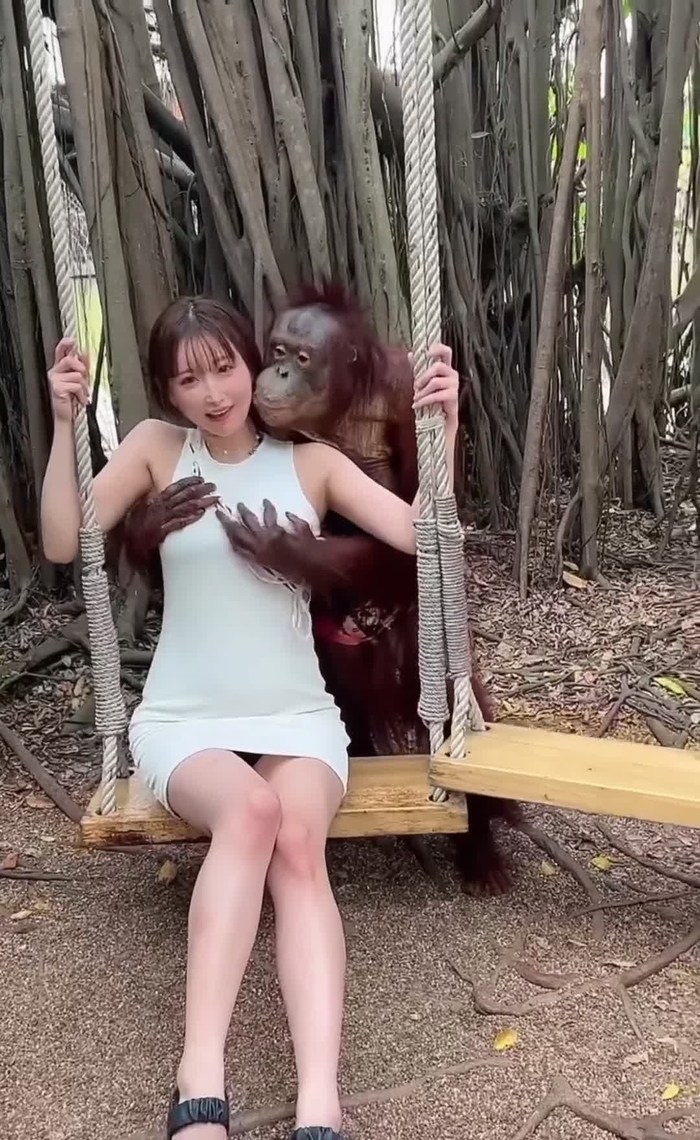 うんぱい unpai3 3