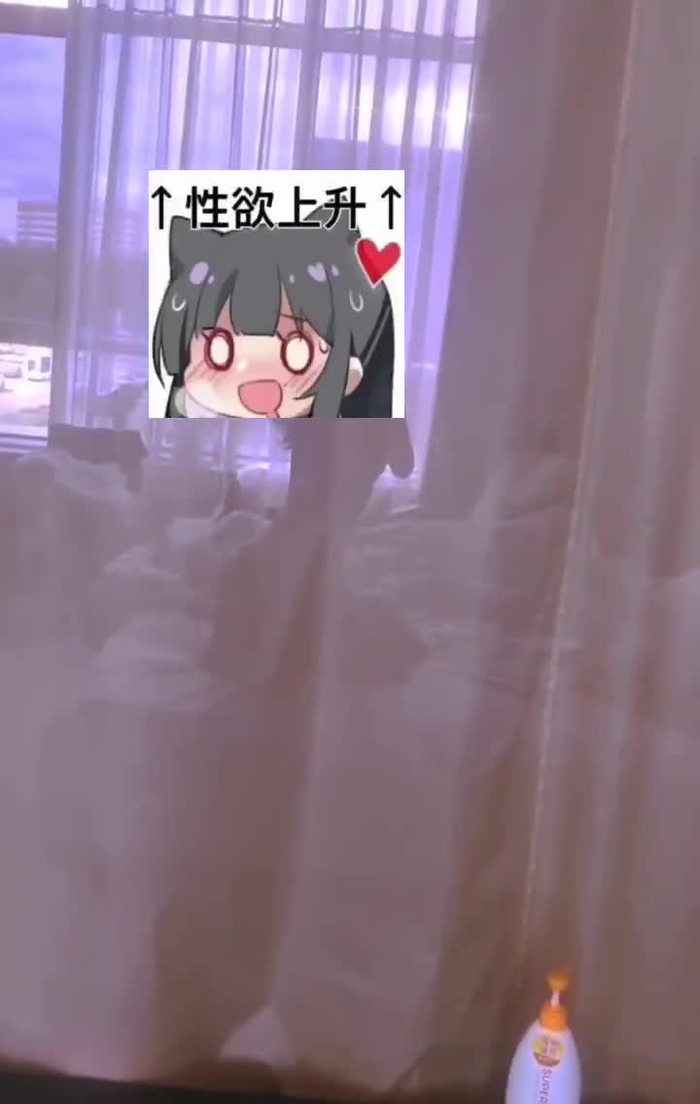 小ni猫 ni80606037 1