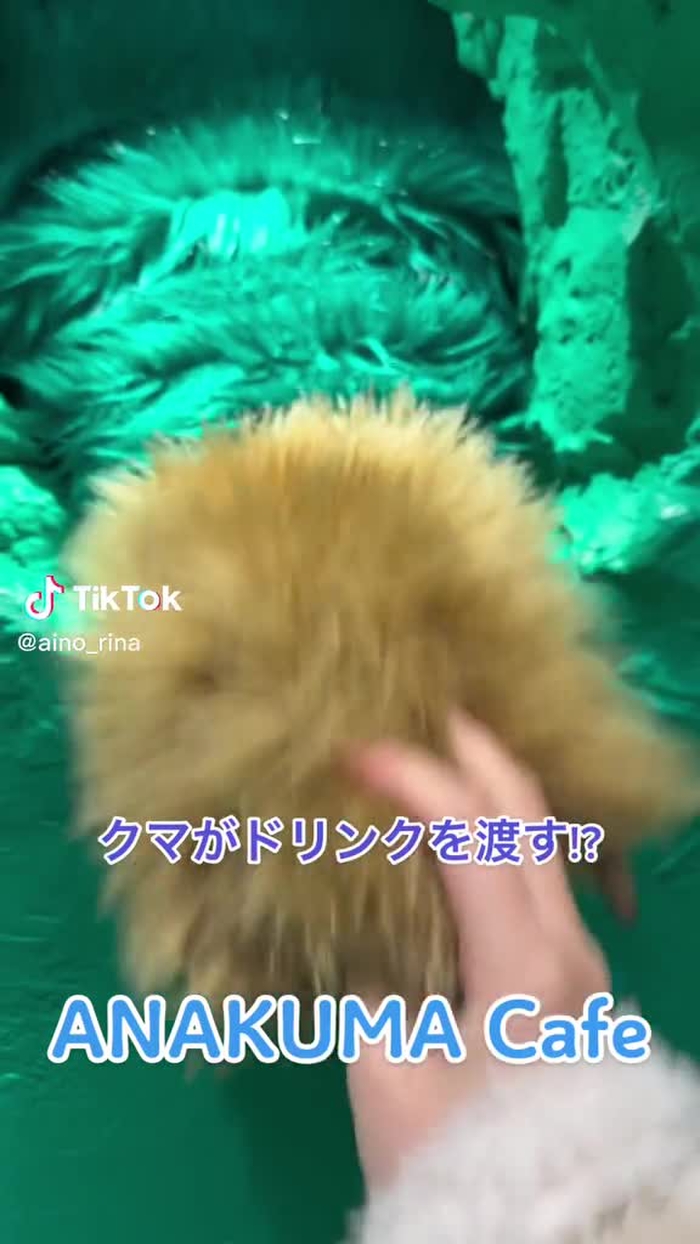 可愛いくまさんに癒されました♪#アナクマカフェ #原宿#カフェ巡り #藍野りな